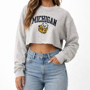 Champion Women's Gray Michigan Cropped Hoodie